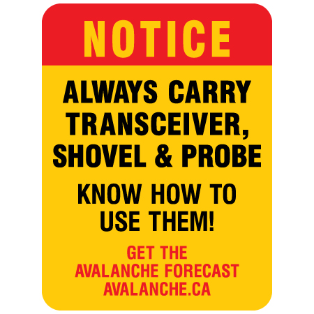 H335 Notice - Always Carry Transceiver, Shovel & Probe 18" x 24"