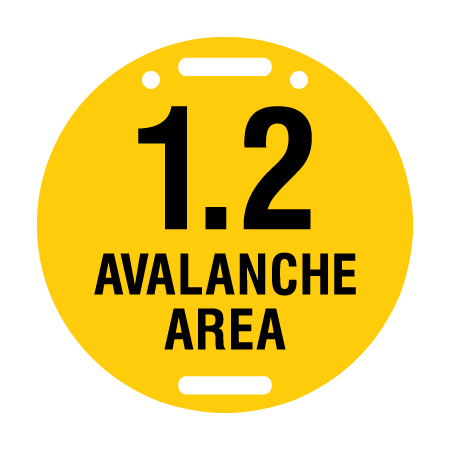 D45 Avalanche Area - Yellow Circle Disc 11.5" x 11.5"