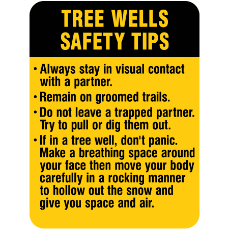 H150 Tree Well Safety Tips 18" x 24"