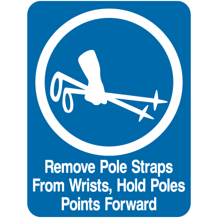 L318 Remove Pole Straps From Wrists, Hold Poles Points Forward 18" x 24"