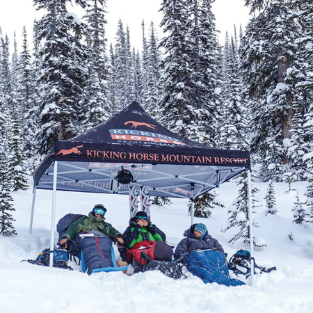 Instant Canopy Tents