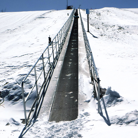 Handrails for Magic Carpet