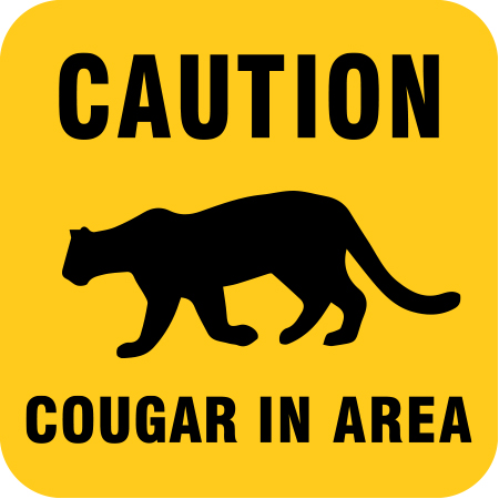S306 Caution Cougar in Area 18" x 18"