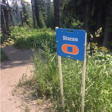 E151, 11.5 x 11.5, Freeride trail name, blue square polythylene disc, UV protected and cost effective marking signs, holes on top to hang from rope, slots top and bottom to fit over bamboo poles, trail and ability markers.. Click to expand image