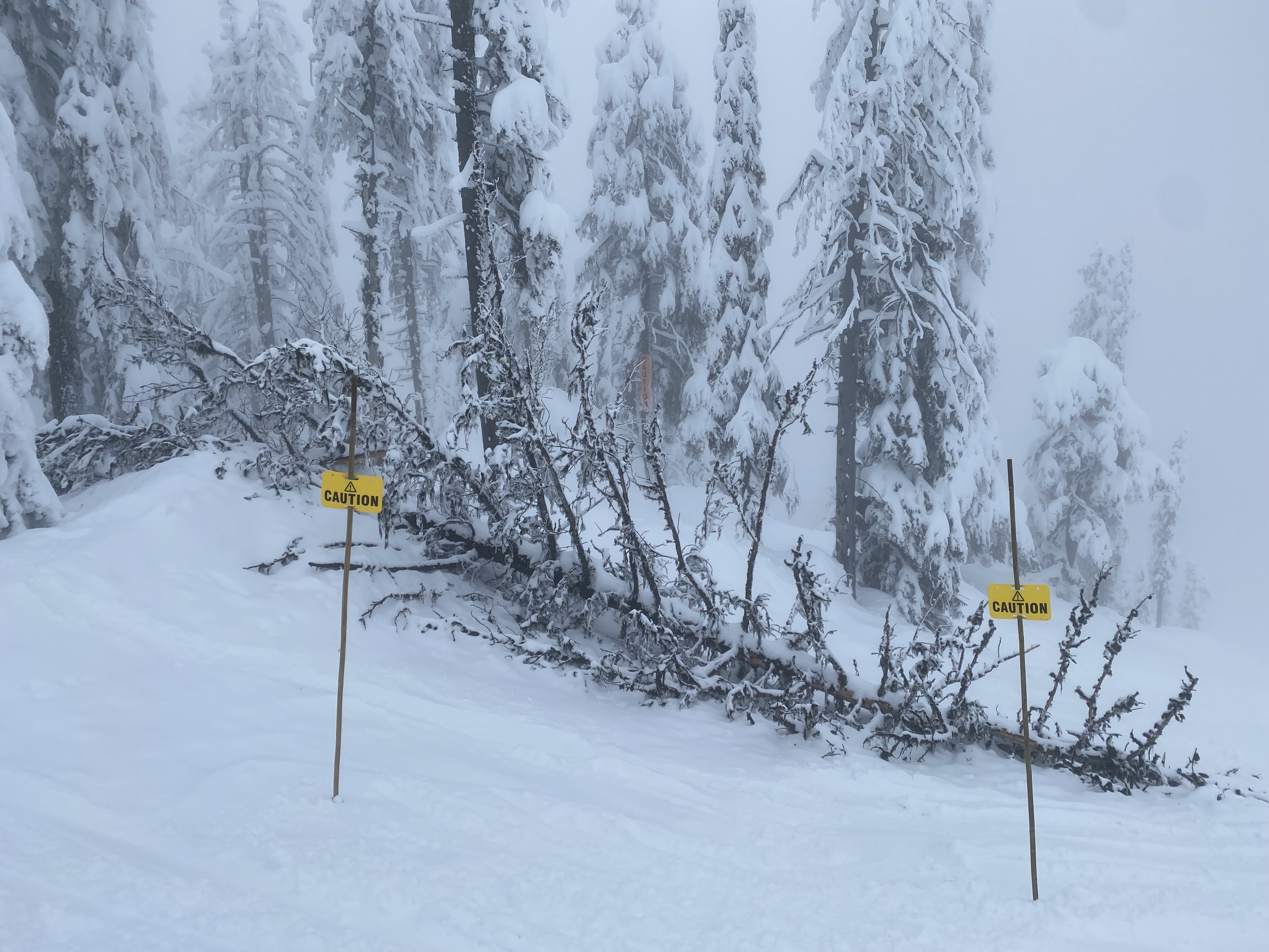 two yellow polyethylene discs that say "caution" with a symbol to warn skiers of a hazardous fallen tree. Click to expand image