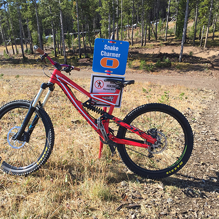 E151, 11.5 x 11.5, Freeride trail name, blue square polythylene disc, UV protected and cost effective marking signs, holes on top to hang from rope, slots top and bottom to fit over bamboo poles, trail and ability markers.. Click to expand image