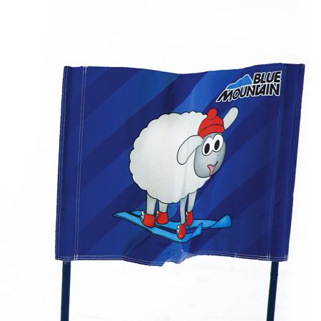 Kids Double Sided Vinyl Race Gates 22" x 32".. Click to expand image