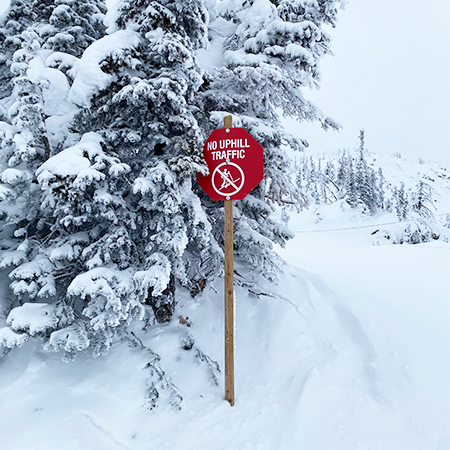 D37 Custom Wording, Red Octagon Flip Discs 18 x 18, polythylene disc, UV protected and cost effective marking signs, holes on top to hang from rope, slots top and bottom to fit over bamboo poles, trail and ability markers.. Click to expand image