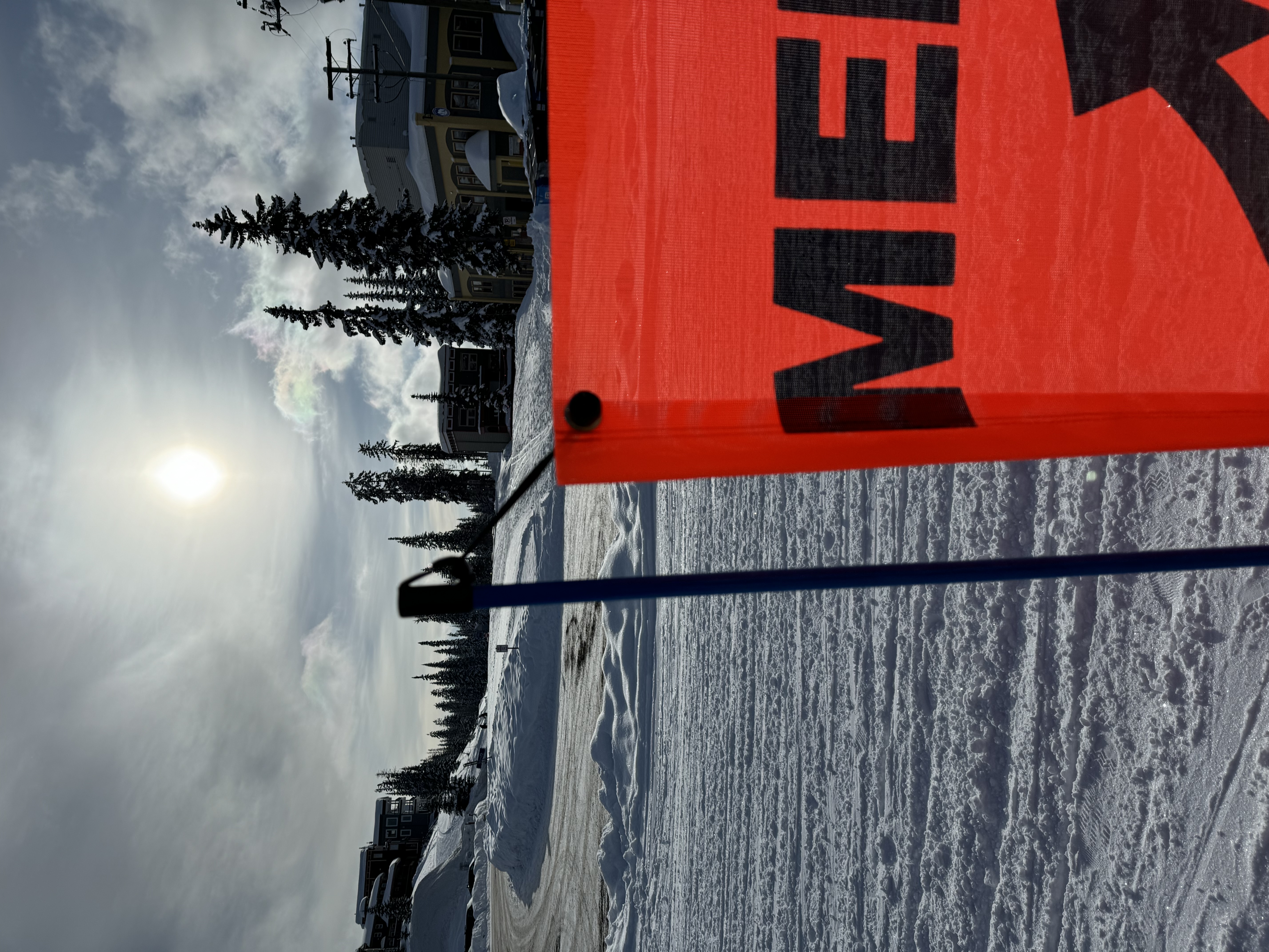 BS03 Merge banner attached by Bungee Balls close up on the grommet. Click to expand image