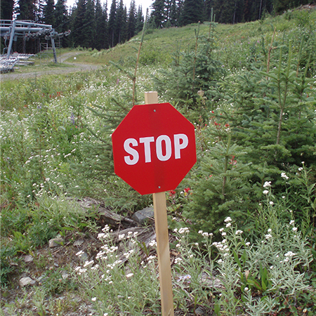 D37 Custom Wording, Red Octagon Flip Discs 18 x 18, polythylene disc, UV protected and cost effective marking signs, holes on top to hang from rope, slots top and bottom to fit over bamboo poles, trail and ability markers.. Click to expand image