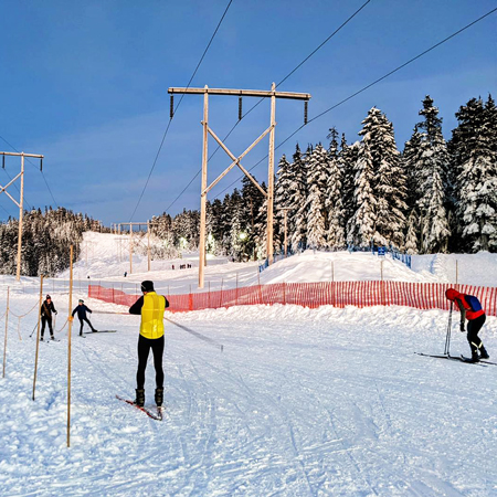 Alpi Fence 48" x 100' Orange.. Click to expand image