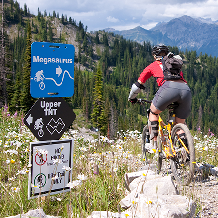 B507, 18 x 18, 12 x 12, hiking and biking trails only, no downhill biking, Mountain bike risk and liability, safety, summer, trail, downhill, available on white or yellow coroplast and 12 gauge sign grade aluminum sheeted with top quality, high performance print* or vinyl graphics.. Click to expand image