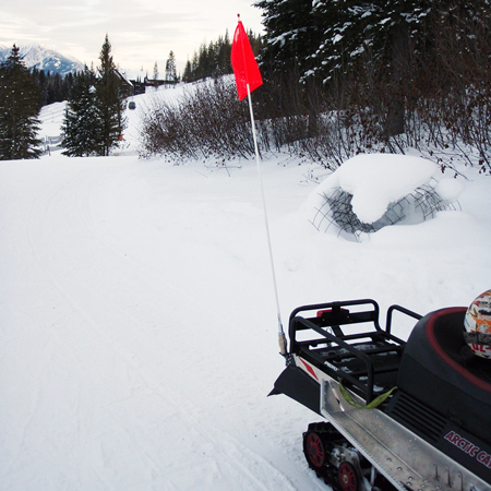 LED Whips Snowmobile.. Click to expand image
