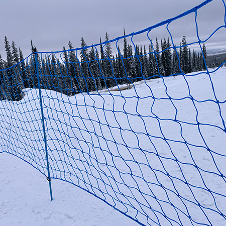Bright blue pop fence on snow.. Click to expand image