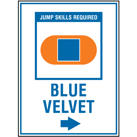 B205 18 x 24, Blue Freeride Mountain Bike Trail Sign, Blue Velvet with Arrow, coroplast and 12 gauge sign grade aluminum sheeted with top quality, high performance print* or vinyl graphics, direct people in all trail systems, technical, cross-country, freeride, downhill, professional, difficulty levels, choose your symbol, custom, mountain bike risk and liability, safety, summer, trail, downhill.. Click to expand image