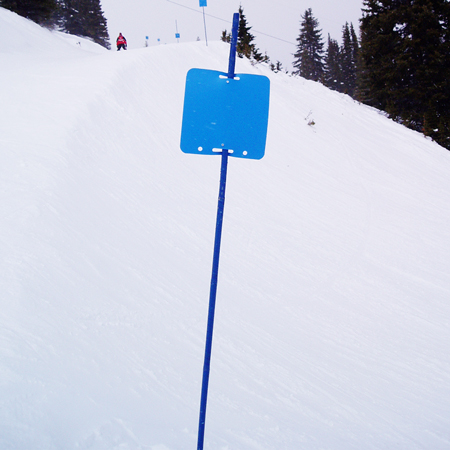 Bamboo Poles 1" x 8' Vinyl Wrapped Blue.. Click to expand image