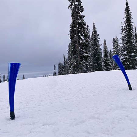 Blue Whisker Gates - Standard.. Click to expand image