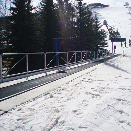 Aluminum Handrails for Magic Carpet.. Click to expand image