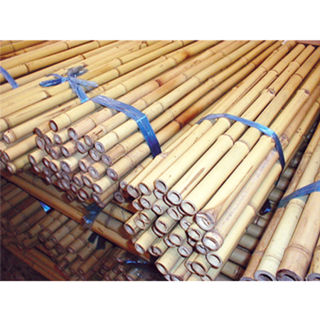 Natural bamboo poles.. Click to expand image
