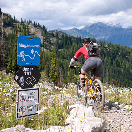 E101 E103 11.5 x 11.5, mountain bike trail name cross-country, blue square polythylene disc, UV protected and cost effective marking signs, holes on top to hang from rope, slots top and bottom to fit over bamboo poles, trail and ability markers.. Click to expand image