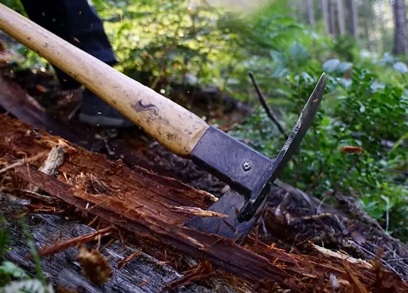 Rakes