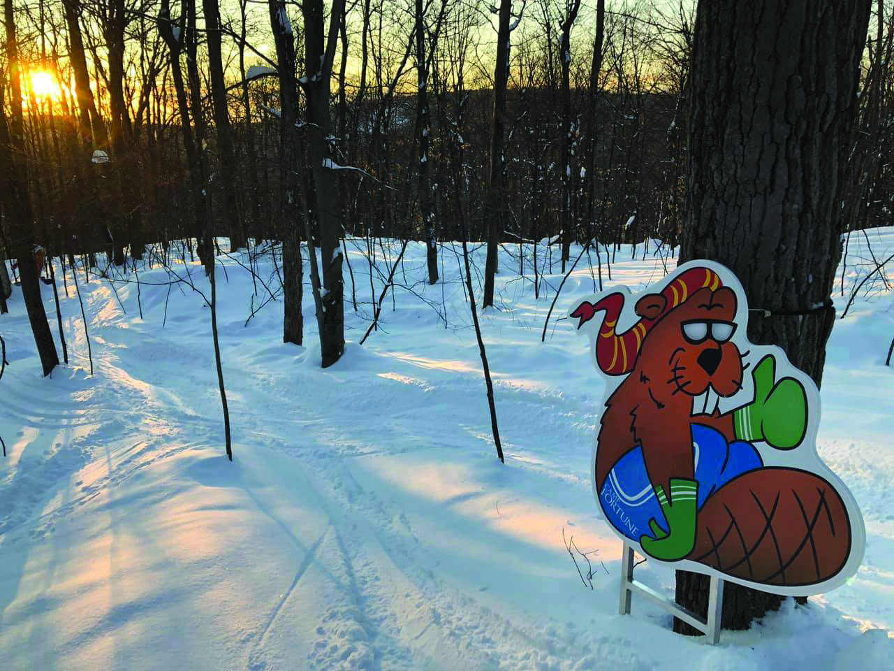 Character cutout beaver in the glades of a ski resort. Click to expand image