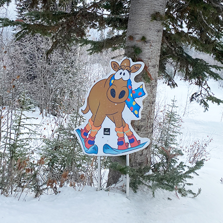 Moose Character Cutout at Kicking Horse Mountain Resort.. Click to expand image